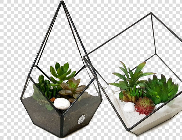 Houseplant   Transparent Cartoons   Flowerpot  HD Png DownloadTransparent PNG