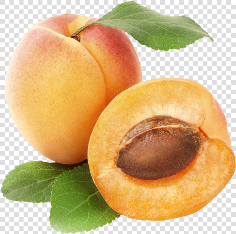 Apricots Png Clipart   Rex Orange County Apricot  Transparent PngTransparent PNG