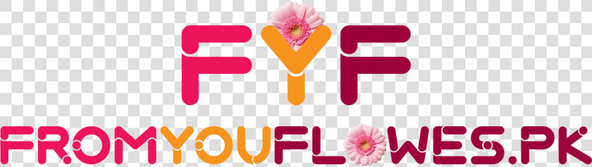 Fromyouflowers   Pk   Gerbera  HD Png DownloadTransparent PNG