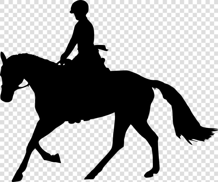 Horse Equestrian Silhouette Clip Art   Horse And Rider Silhouette Png  Transparent PngTransparent PNG