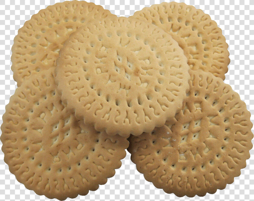 Biscuit Cookie Background Images   Печенье Мария  HD Png DownloadTransparent PNG