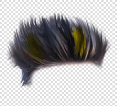 Full Hd Hair Png   Hog Nosed Skunk  Transparent PngTransparent PNG