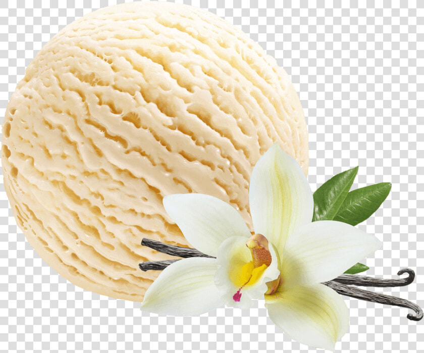 Vanilla Ice Cream   Vanilla Ice Cream Png  Transparent PngTransparent PNG