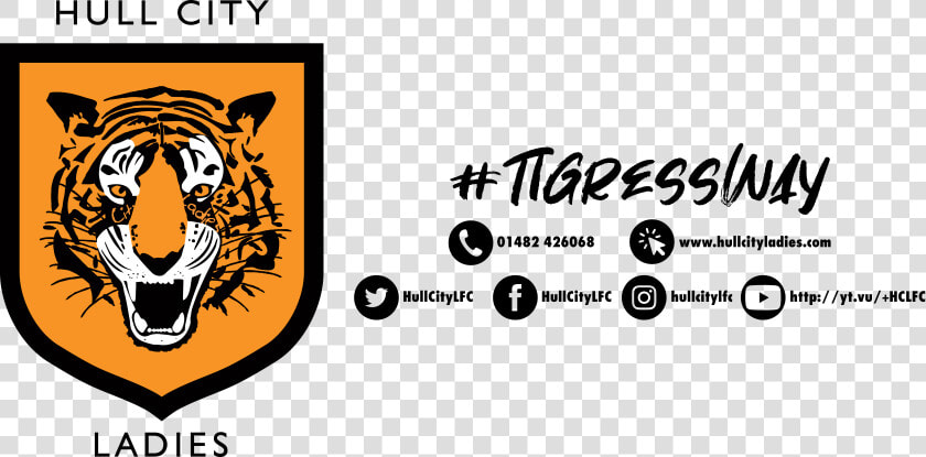 Hull City Ladies Football Club  HD Png DownloadTransparent PNG