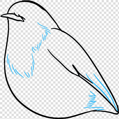 How To Draw Robin   Mountain Bluebird  HD Png DownloadTransparent PNG