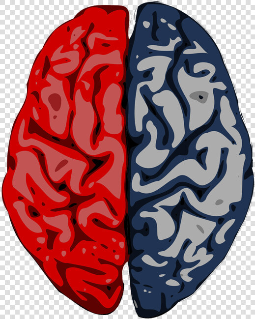 Marketing Requires Creative And Analytical Minds   Transparent Left Brain Right Brain Png  Png DownloadTransparent PNG