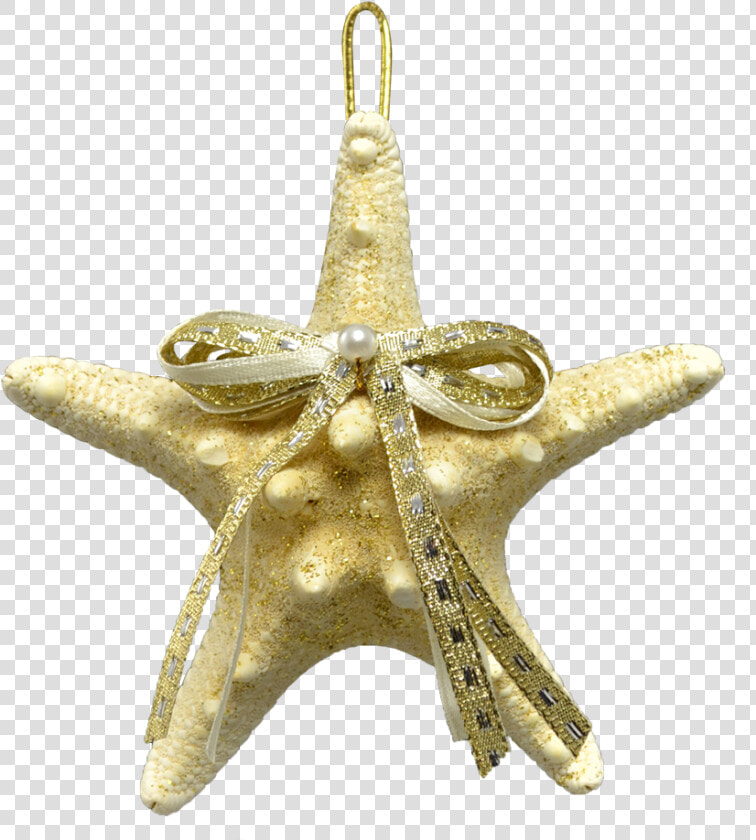 2 White Knobby Starfish Christmas Holidays Ornaments   Pendant  HD Png DownloadTransparent PNG