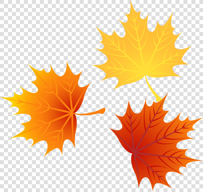 Autumn Euclidean Leaves Vector Leaf Png Image High   Cartoon Fall Leaves Png  Transparent PngTransparent PNG