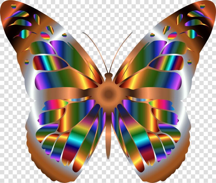 Iridescent Monarch Butterfly 6 Clip Arts   Real Rainbow Monarch Butterfly  HD Png DownloadTransparent PNG