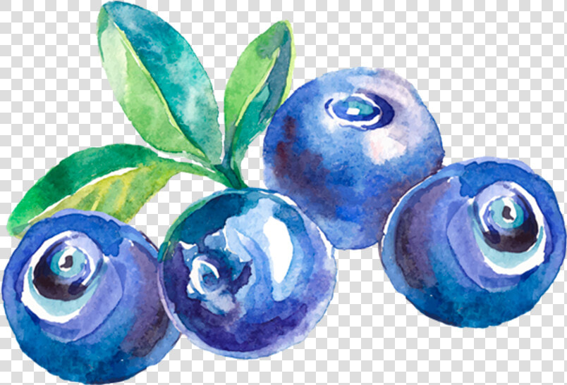 Transparent Fruta Png   Custom Blueberry Wine Labels  Png DownloadTransparent PNG