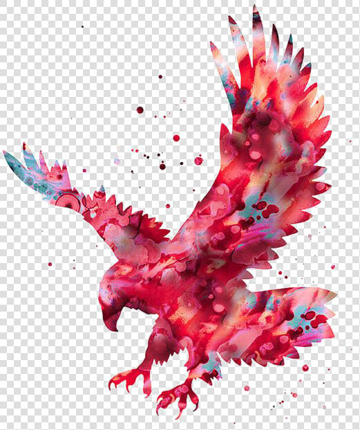  ftestickers  watercolor  painting  eagle  colorful   Arm Bird Tattoos For Men  HD Png DownloadTransparent PNG