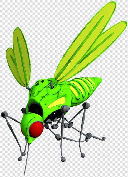 Net winged Insects  HD Png DownloadTransparent PNG