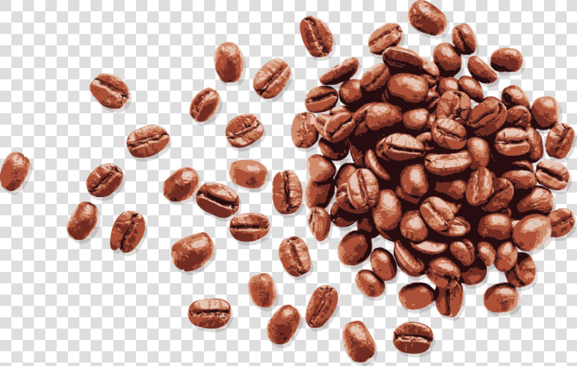 Coffee Bean Espresso   Transparent Background Coffee Beans Png  Png DownloadTransparent PNG