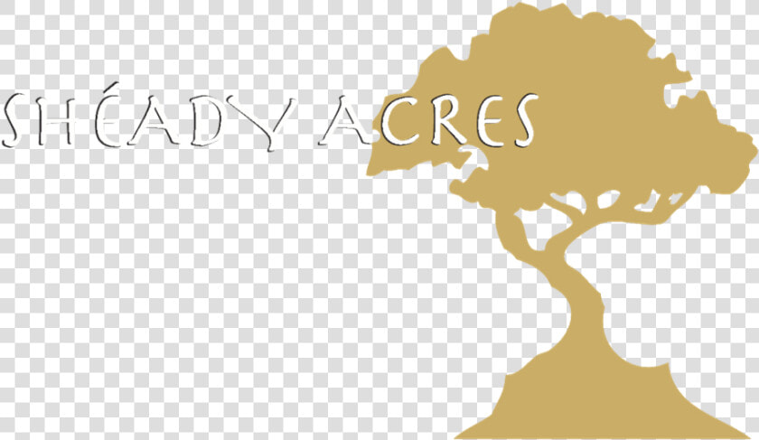 Sheady Acres  HD Png DownloadTransparent PNG