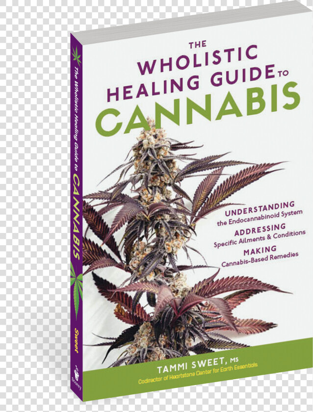 Cover   The Wholistic Healing Guide To Cannabis  Understanding  HD Png DownloadTransparent PNG