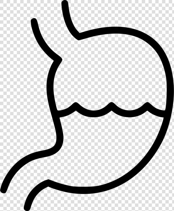 Line Art   Stomach  HD Png DownloadTransparent PNG