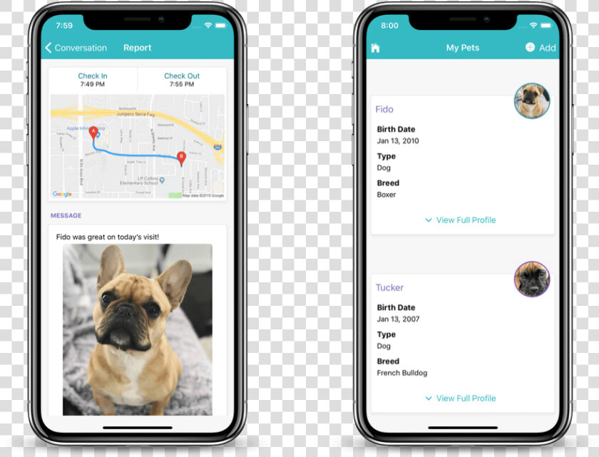 Dog Walking Client App   Dog App  HD Png DownloadTransparent PNG