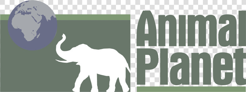 Animal Planet Logo Png Transparent   Animal Planet Logo Png Large  Png DownloadTransparent PNG