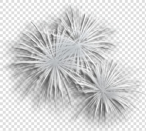 Transparent Silver Fireworks Png Clipart   Transparent Background White Fireworks Png  Png DownloadTransparent PNG