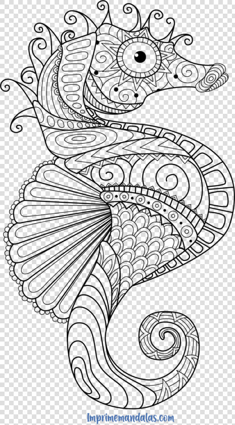 Mandala Caballito De Mar Para Colorear   Seahorse Coloring Pages For Adults  HD Png DownloadTransparent PNG