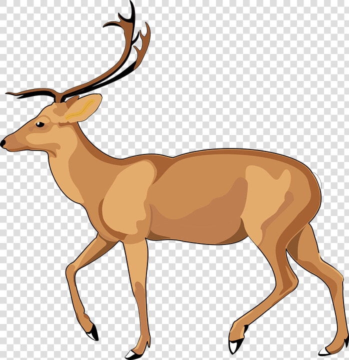 Nature Clipart Deer Free   Debden Park High School  HD Png DownloadTransparent PNG