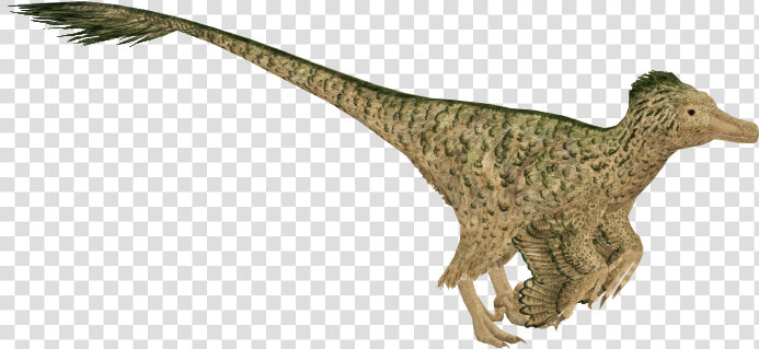 Zt2 Velociraptor  HD Png DownloadTransparent PNG