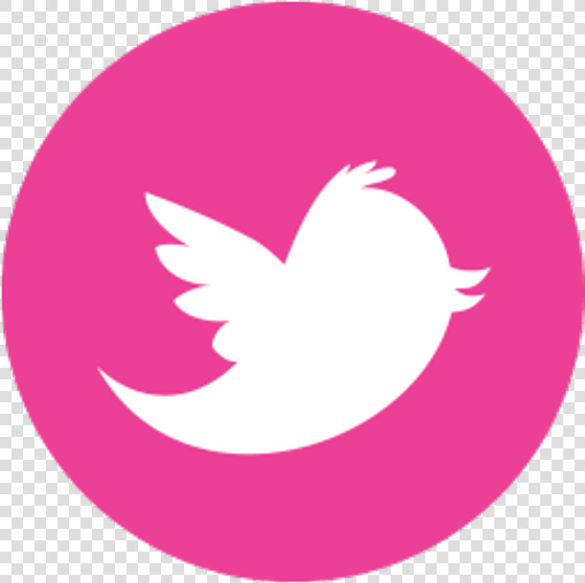 Twitter Logo Png Pink   Png Download   Flat Twitter Icon Png  Transparent PngTransparent PNG