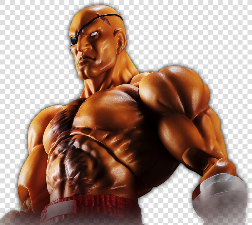 Sagat   Sh Figuarts Street Fighter Sagat  HD Png DownloadTransparent PNG