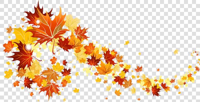 Small Fall Leaves   Fall Leaves Transparent Background  HD Png DownloadTransparent PNG