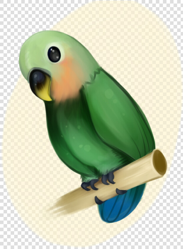 Birb Drawing Love Bird Huge Freebie Download For Powerpoint   Green Peach Faced Lovebird Vector  HD Png DownloadTransparent PNG