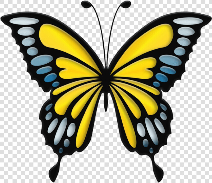 Yellow Butterfly Png   Blue Butterfly Clip Art  Transparent PngTransparent PNG