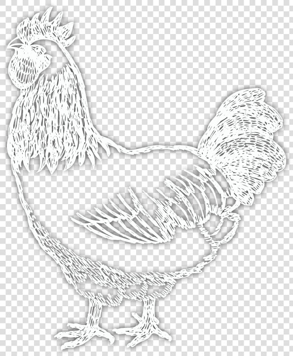 Rooster   Png Download   Rooster  Transparent PngTransparent PNG