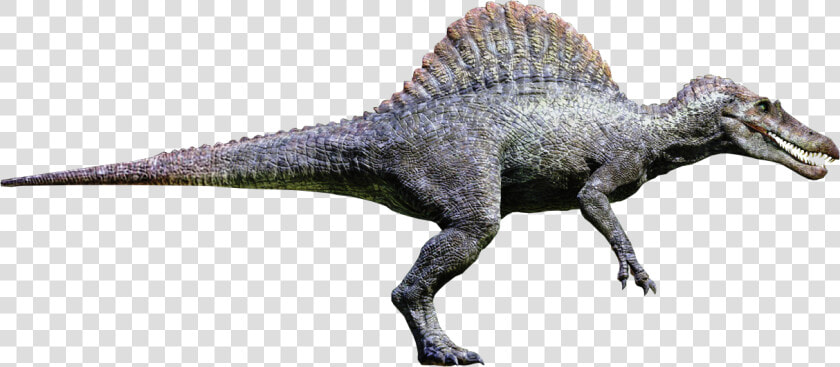 Trex Png Skinny  Transparent PngTransparent PNG