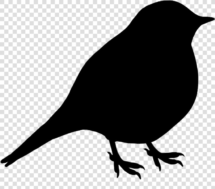 Small Black Silhouette Of Bird   Sitting Bird Silhouette  HD Png DownloadTransparent PNG