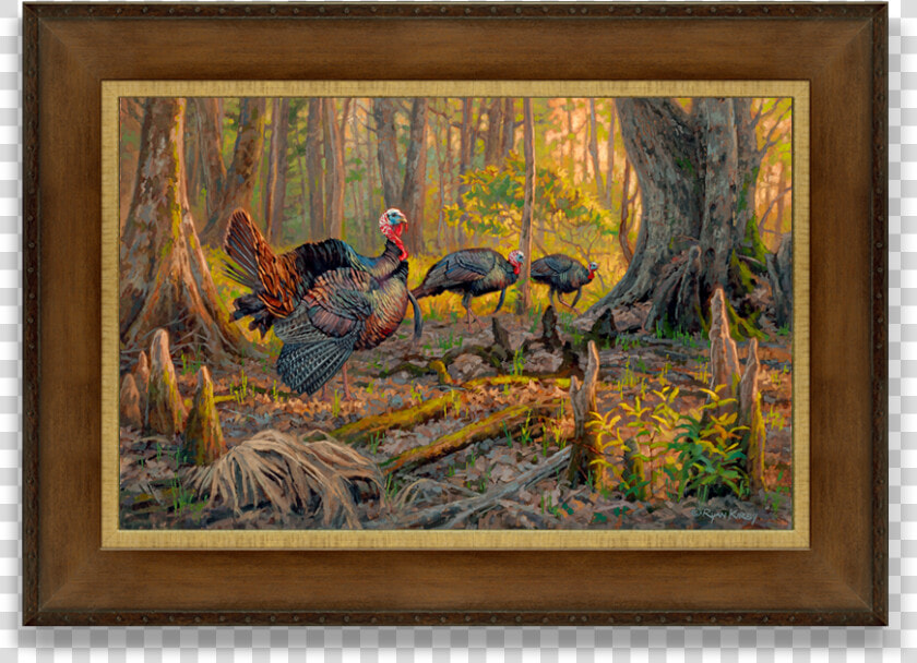 Ryan Kirby Wild Turkey Canvas Print Cypress Sunrise  HD Png DownloadTransparent PNG