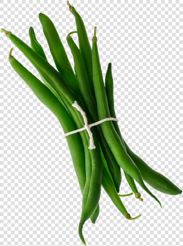 001 Mambo Product Images Green Beans Tilted Web Copy   Orris Root  HD Png DownloadTransparent PNG