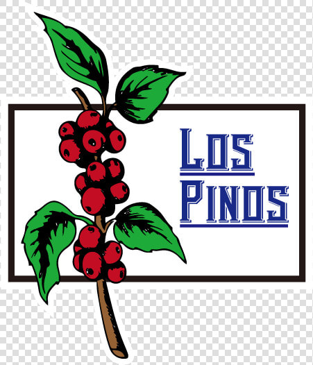 Pinos Png  Transparent PngTransparent PNG