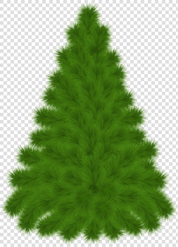 Pine Tree Clipart Png Transparent Png   Png Download   Pine Tree Clipart With A Transparent Background  Png DownloadTransparent PNG