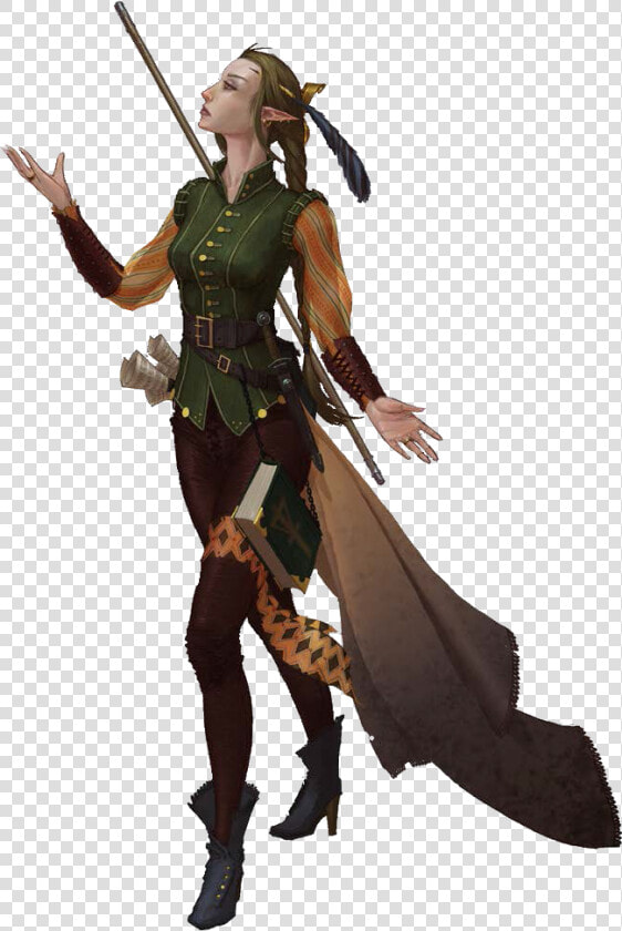 Elf Png Image   Half Elf Bard Female  Transparent PngTransparent PNG