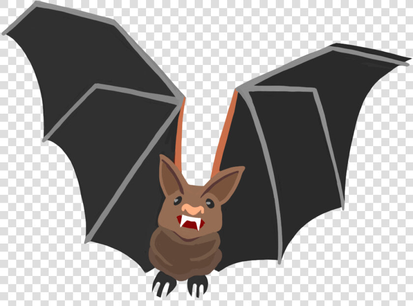 Little Brown Myotis  HD Png DownloadTransparent PNG