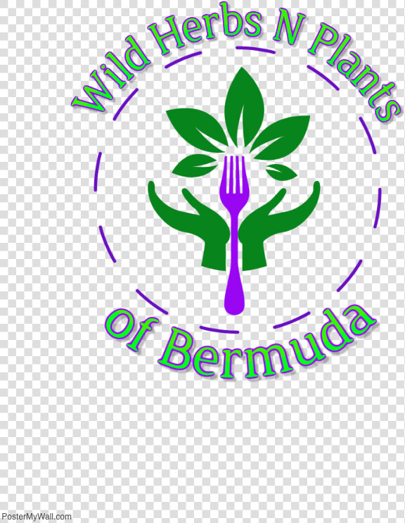 Wild Herbs N Plants Of Bermuda Logo   Graphic Design  HD Png DownloadTransparent PNG