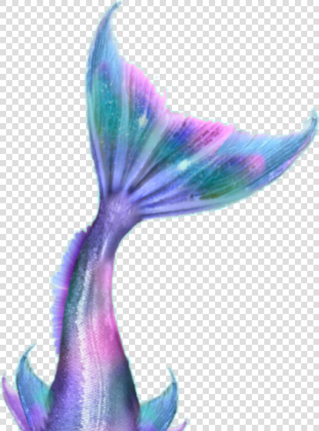  sirena  mermaid   Mermaid  HD Png DownloadTransparent PNG