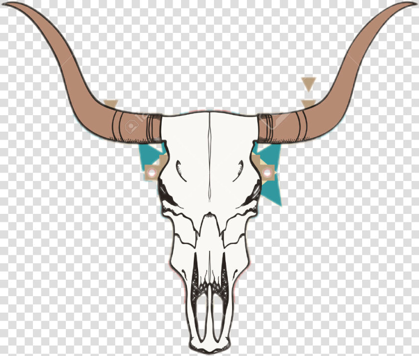 Bull Clipart Tattoo   Calavera De Vaca Png  Transparent PngTransparent PNG