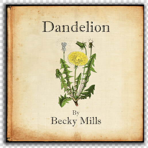 Becky Mills Dandelion  HD Png DownloadTransparent PNG