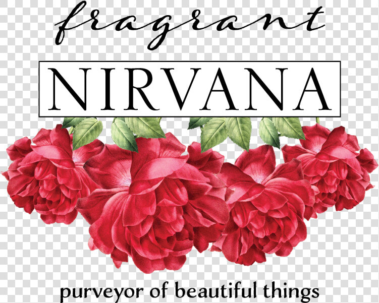 Final Fragrant Nirvana Logo May2019   Hybrid Tea Rose  HD Png DownloadTransparent PNG