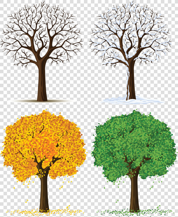 Plants In Different Seasons  HD Png DownloadTransparent PNG