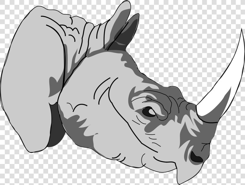 Architetto Rhinoceros 1 Clip Arts   One Horned Rhino Art  HD Png DownloadTransparent PNG