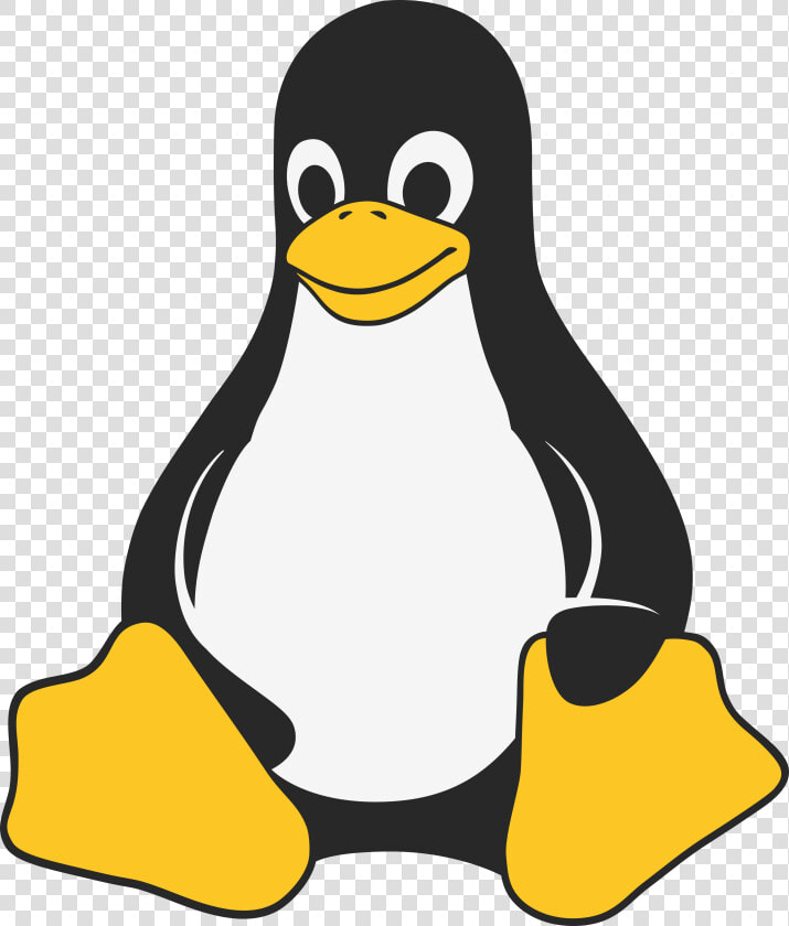 Pinguim Png   Png Download   Linux Penguin  Transparent PngTransparent PNG