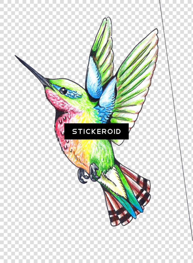 Hummingbird Clipart   Png Download   Humming Bird Clip Art  Transparent PngTransparent PNG