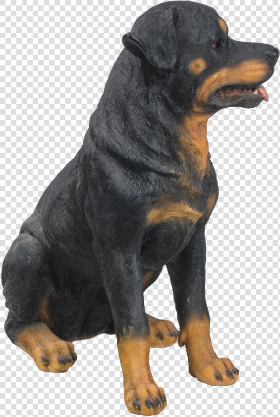 Transparent Rottweiler Png   Companion Dog  Png DownloadTransparent PNG